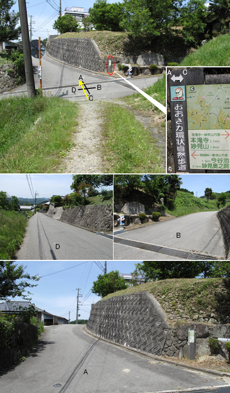 20140524hike (177)